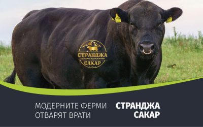 Модерните ферми отварят врати: Странджа Сакар