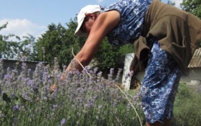 В новата ОСП субсидиите намаляват, ако фермерите не зачитат правата на работниците