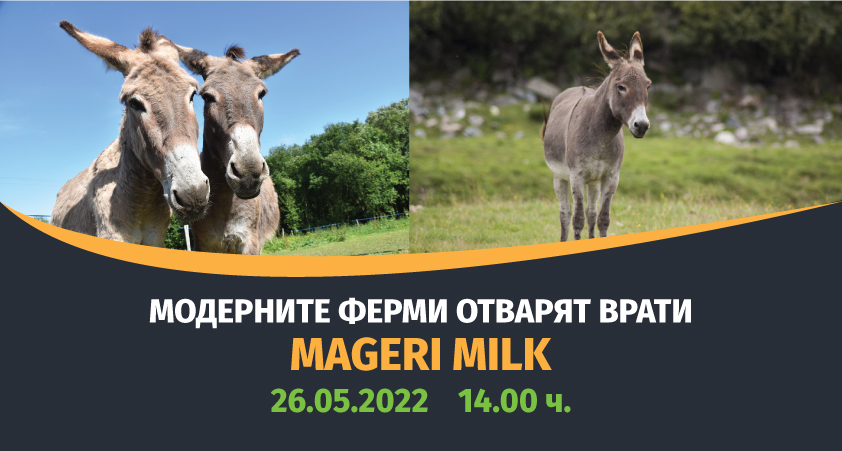 Модерните ферми отварят врати: Mageri Milk