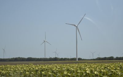 Copa&Cogeca: Изключенията от условията на ОСП са навременно решение за фермерите, трябват още инструменти и стимули