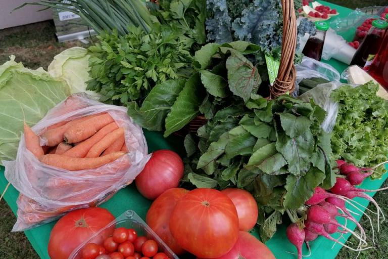 Залагат нови инструменти за развитие на биосектора