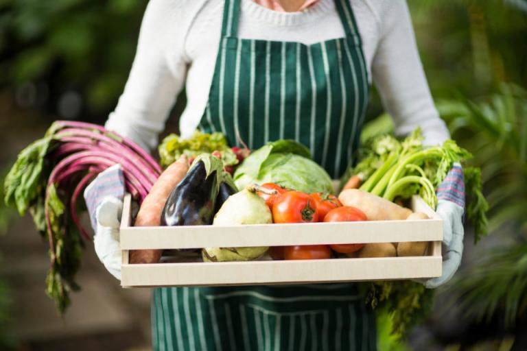 Брюксел с план за насърчаване на свежи европейски селскостопански продукти през 2023 г